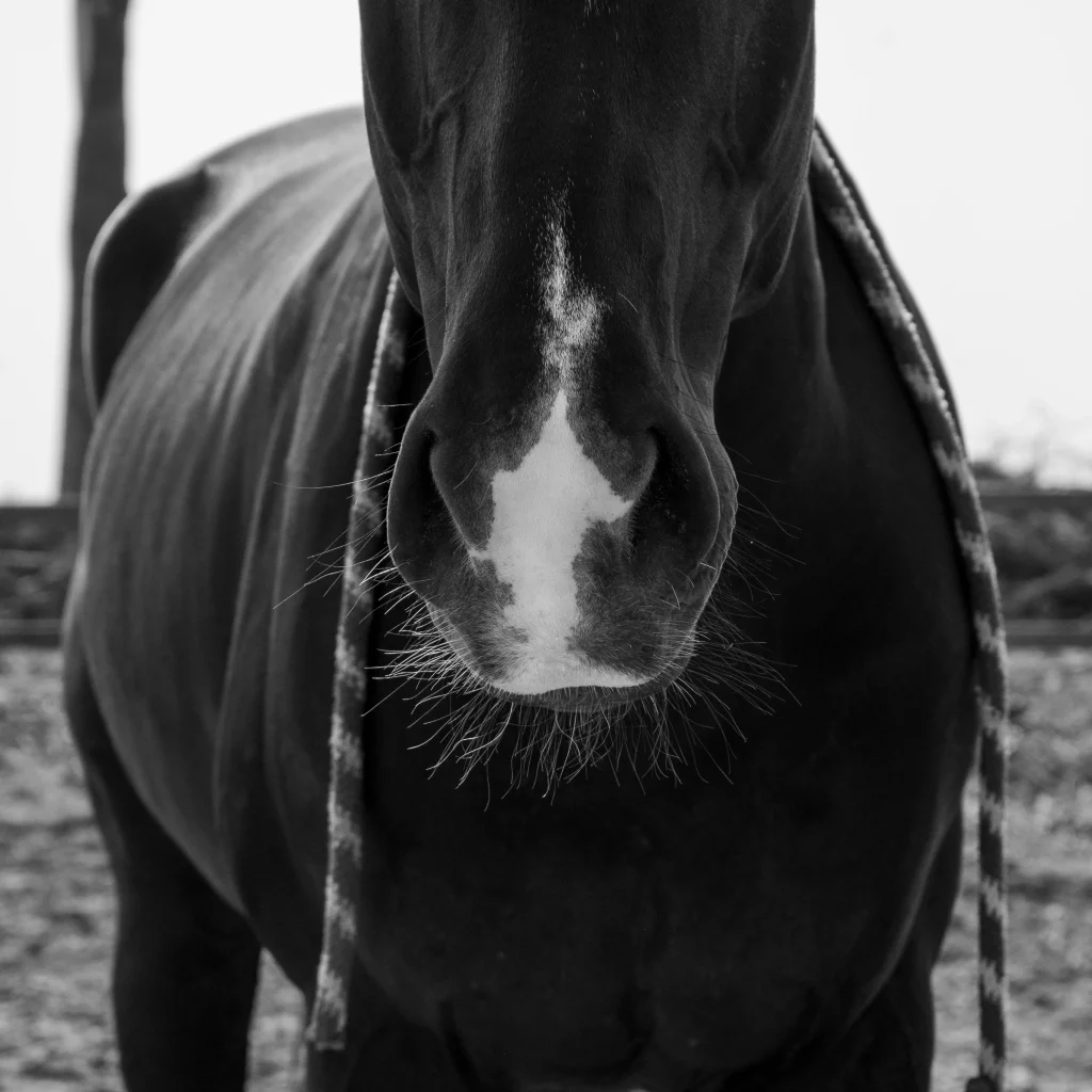 pexels fernengel 7529795