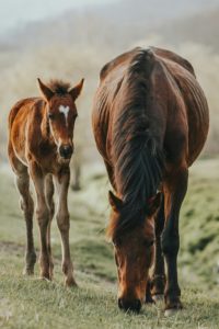 alex glebov ubA4MSQh9Po unsplash