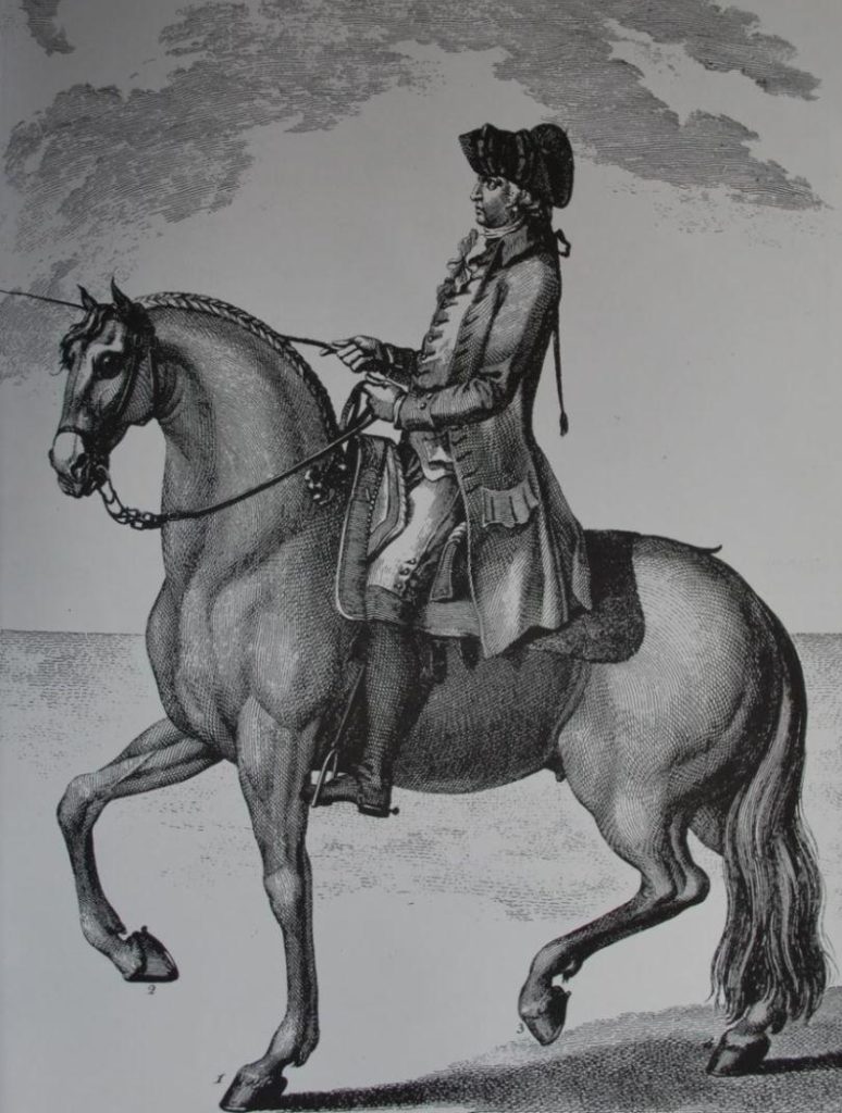 historia do cavalo lusitanojpg 1