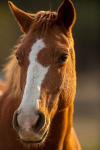 pieter van noorden cjSUZMA2iW8 unsplash