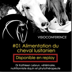 Alimentation du cheval lusitanien - Replay