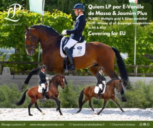 Quiem LP 3