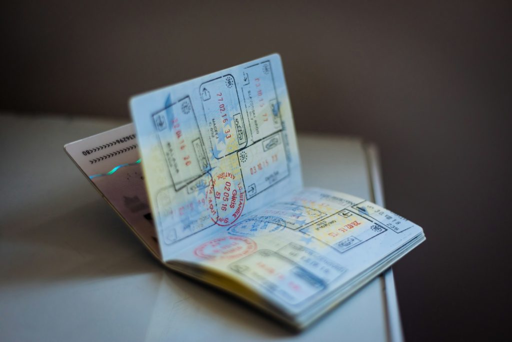 Demander un duplicata de passeport pour un cheval Lusitanien