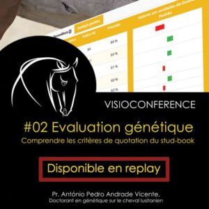 Evaluation génétique - Replay